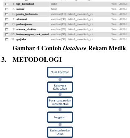Gambar 4 Contoh Database Rekam Medik 