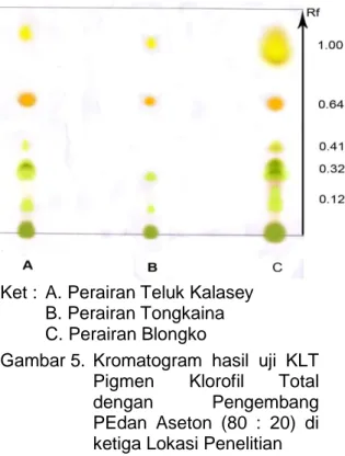 Gambar 5.  Kromatogram  hasil  uji  KLT  Pigmen  Klorofil  Total  dengan  Pengembang  PEdan  Aseton  (80  :  20)  di  ketiga Lokasi Penelitian    Kromatografi  Lapis  Tipis  (KLT)