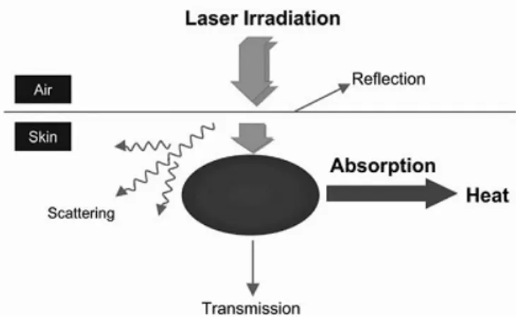 Gambar 1. Interaksi laser dengan jaringan 10