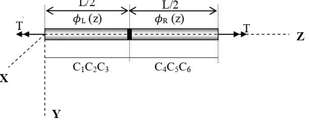 Figure 3. Beam with one bearing stiffener at mid-point 