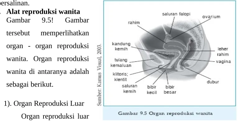 Gambar  9.5!  Gambar