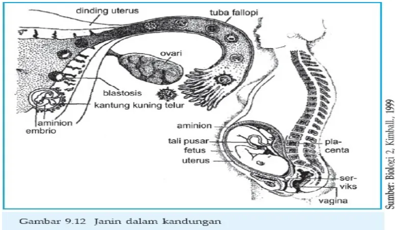 Gambar 9.12!