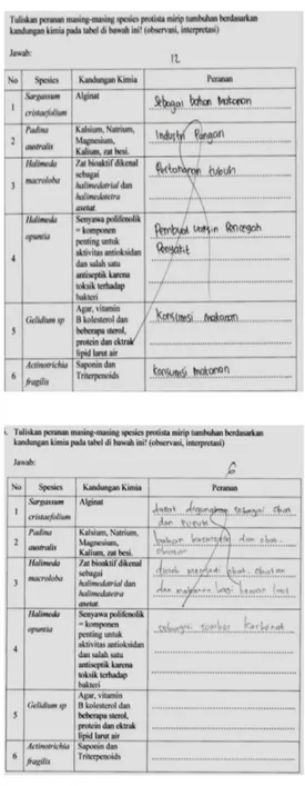 Gambar  7.  Contoh  jawaban  siswa  pada  indikator  mengklasifikasi  (LKS  ekpserimen  I  dan  eksperimen II)