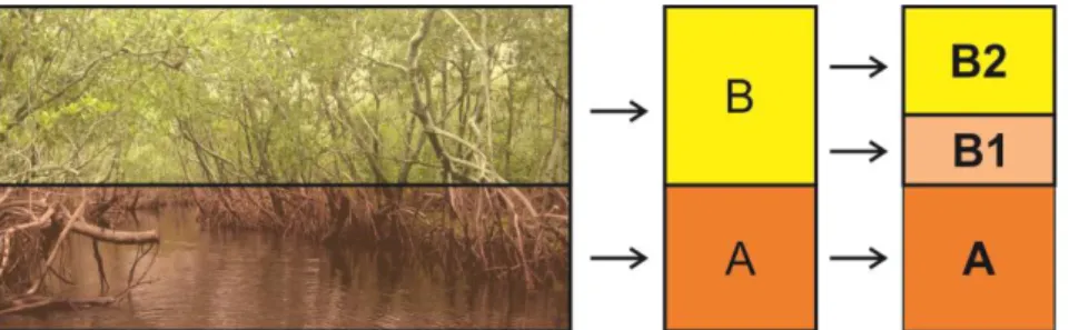 Diagram 5. 3. Zonasi vertikal pada bangunan dengan analogi mangrove  Sumber : Analisis penulis 