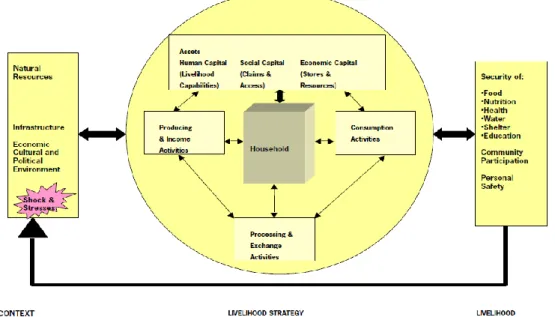 Gambar 1. Strategi Intervensi CARE‘s 