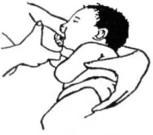Gambar 2.11 Cara Merangsang Mulut Bayi (Perinasia, 2003) 