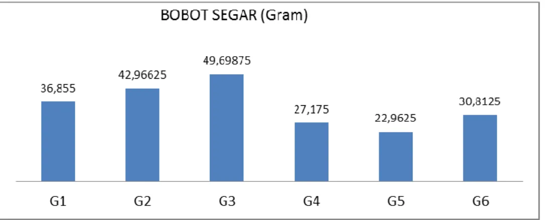 Gambar 3. Grafik Bobot Segar 