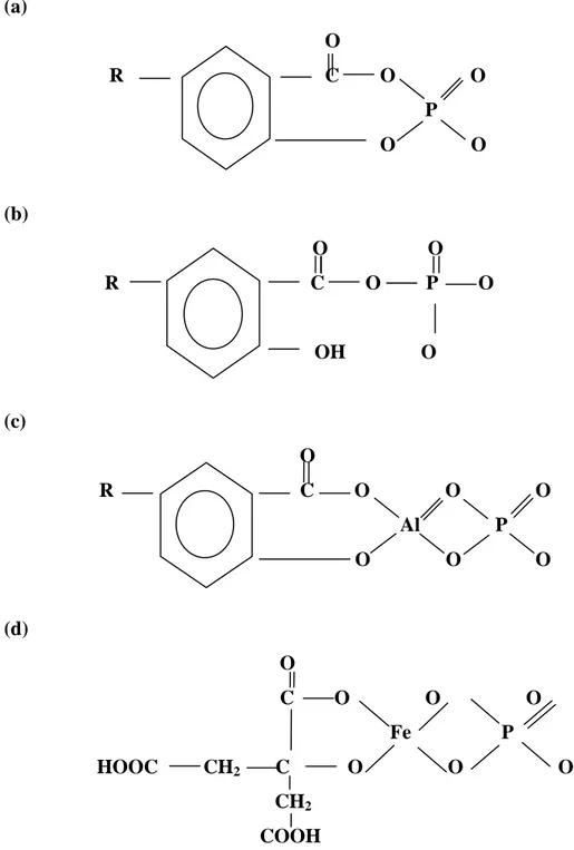 Gambar 1.   Ikatan pada senyawa humat  (a)  fosfo-asam  humat khelat, (b) fosfo-