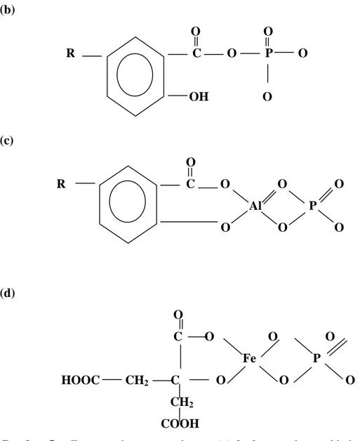 Gambar 5.  Ikatan pada senyawa humat (a) fosfo-asam humat khelat, (b) fosfo- 