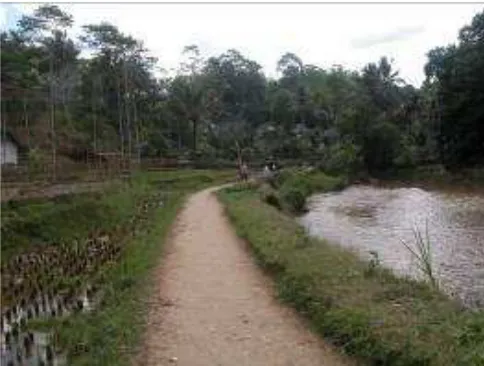 Gambar 5: Kolam Ikan dan Bukit 