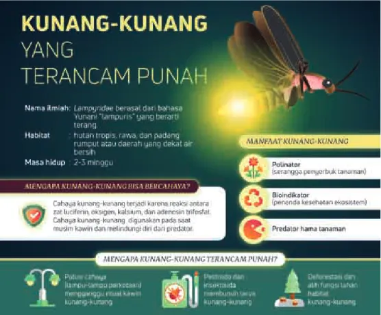 Gambar 1.9 Infografik kunang-kunang