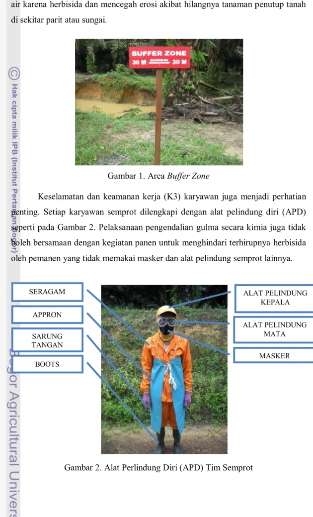 Gambar 1. Area Buffer Zone 