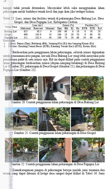 Tabel 15  Luas, zonasi dan fasilitas ternak di pekarangan Desa Bakung Lor, Desa 