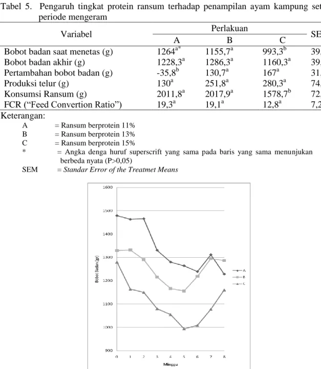 Tabel  5.    Pengaruh  tingkat  protein  ransum  terhadap  penampilan  ayam  kampung  setelah  periode mengeram 