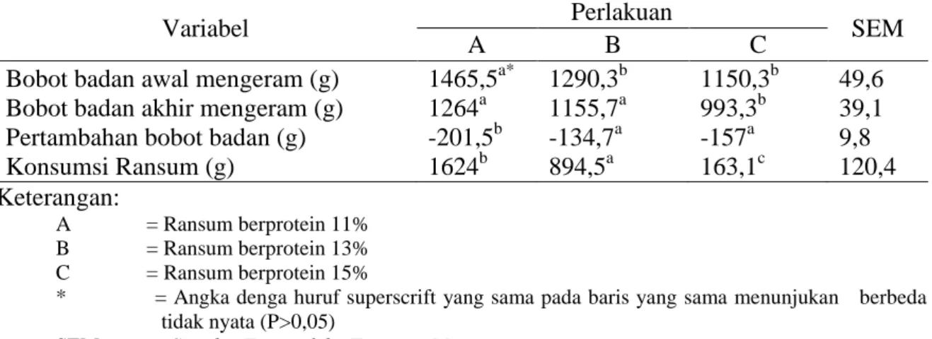 Tabel  4.   Pengaruh tingkat  protein  ransum terhadap penampilan   ayam   kampung  selama  periode mengeram 