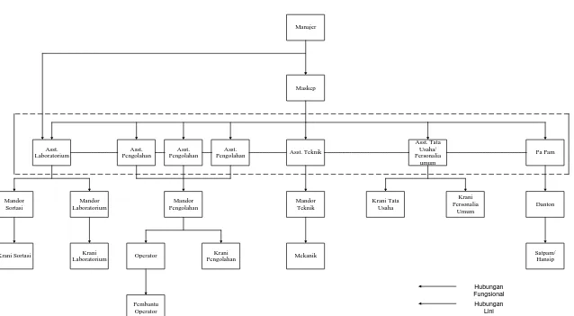 Gambar 2.1. Struktur Organisasi PKS Aek Nabara Selatan (PANAS) 