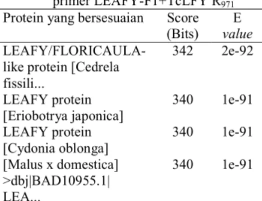 Tabel  1  Hasil  analisis  BLASTX  fragmen  gen LEAFY menggunakan pasangan  primer LEAFY-F1+TcLFY R 971  Protein yang bersesuaian  Score 