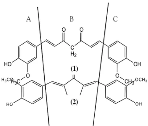Gambar 1. Pembagian Farmakofor pada Kurkumin (1) (Robinson et al., 2002) dan Analog PGV-0 (2)