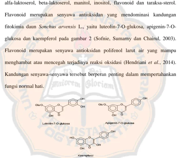 Gambar 2. Struktur Flavanoid (Luteolin-7-O-glukosa, Apigenin-7-O-glukosa dan  Kaempferol) (Sofnie et al., 2003)