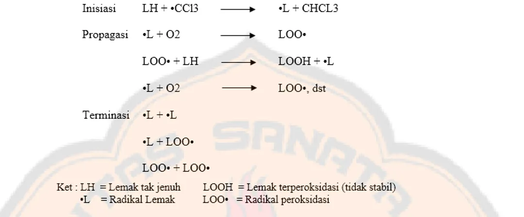 Gambar 4. Mekanisme peroksidasi lipid oleh radikal CCl 3  (Manahan, 2002). 