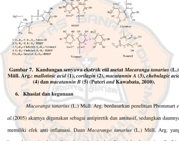 Gambar 7.  Kandungan senyawa ekstrak etil asetat Macaranga tanarius (L.)  Müll. Arg.: mallotinic acid (1), corilagin (2), macatannin A (3), chebulagic acid 