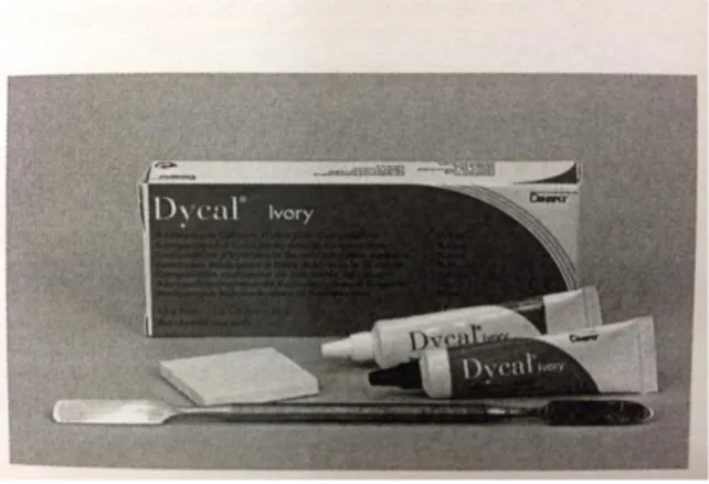 Gambar 2. Dycal Ivory (Mitchell, 2008) 
