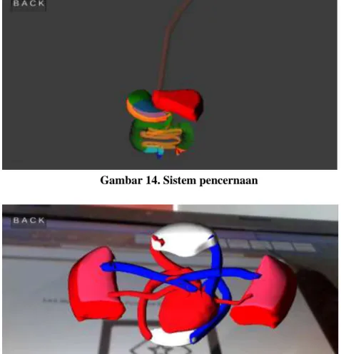 Gambar 14. Sistem pencernaan 