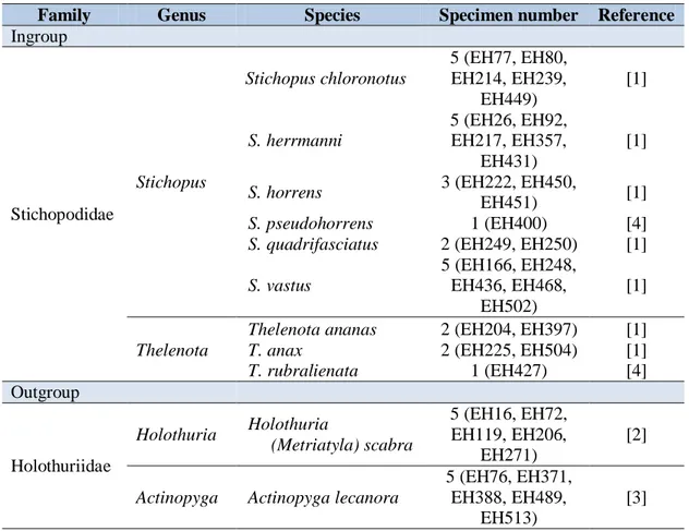 Tabel 1. Spesimen timun laut yang digunakan dalam analisis filogeni. 