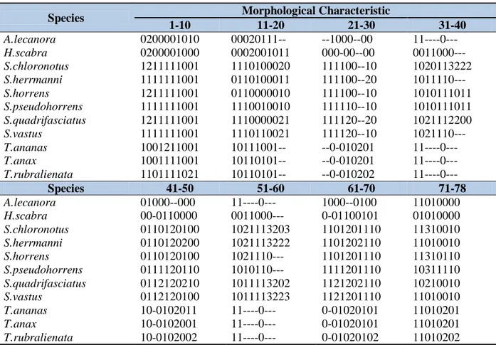 Tabel 2. Matriks karakteristik morfologis dari spesies Stichopodidae yang digunakan dalam analisis data