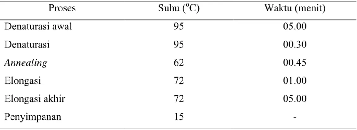 Tabel 3.  Program Analisis PCR