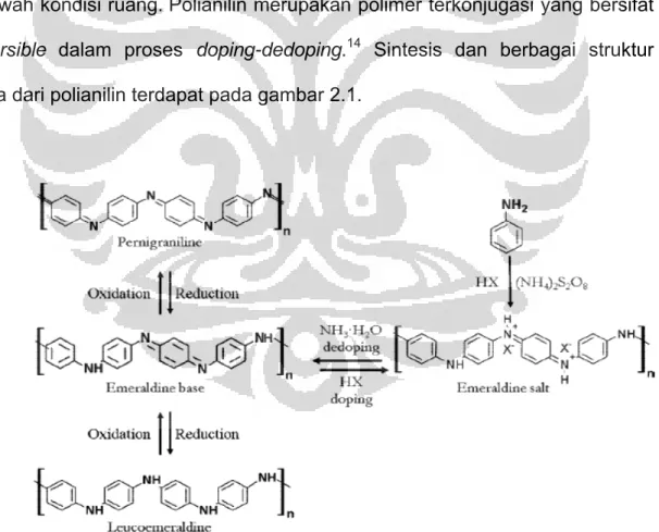Gambar 2.1 skema yang menunjukkan struktur kimia, sintesis, doping/dedoping  asam/basa reversible, dan kimia redoks dari polianilin