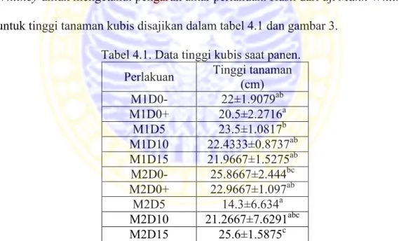 Tabel 4.1. Data tinggi kubis saat panen. 