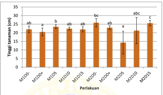 Gambar 3. Diagram pengaruh interaksi antara dosis biofertilizer dan jenis media  tanam  terhadap  tinggi  kubis