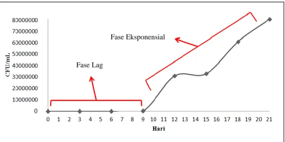 Gambar 2.2 Grafik pertumbuhan M. tuberculosis selama 21 hari yang terdiri atas  fase lag dan fase eksponensial (Urquides et al.,  2013)