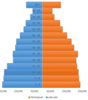 Tabel 2.4 Piramida Penduduk NTB 2013 