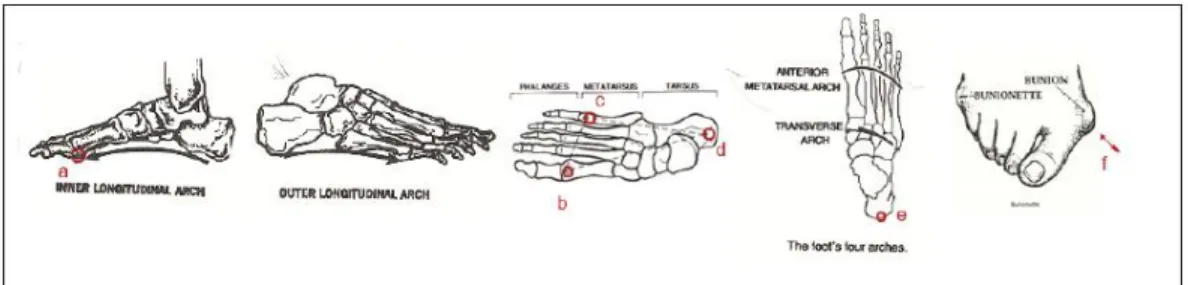 Gambar 2.4 Titik Kaki yang Sakit saat Pakai Sepatu  Sumber: Convertible High-Heels Design, Chang Pei-Yu, 2011 