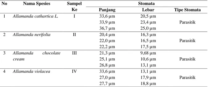 Tabel  1.  Hasil  Anatomi  Jaringan  Stomata  Genus  Allamanda  dengan  menggunakan  SEM  (Scanning Electron Microscope) 