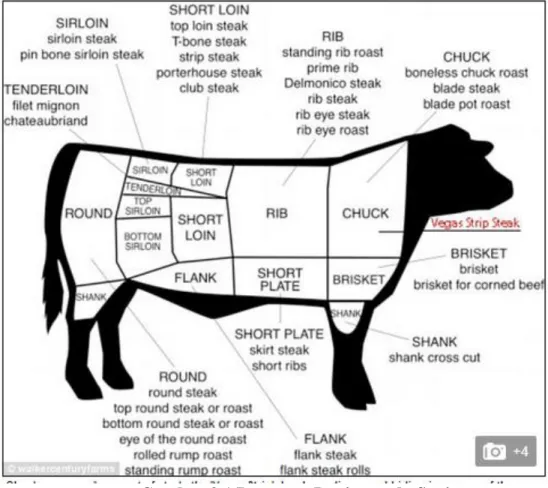 Gambar 2.1 Potongan Daging pada Sapi 