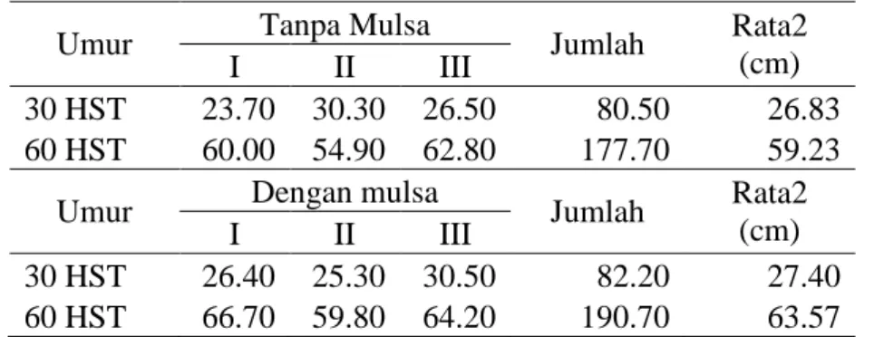 Tabel 4. Rata-rata tinggi tanaman kentang Granola G3 umur 30 dan 60 HST 