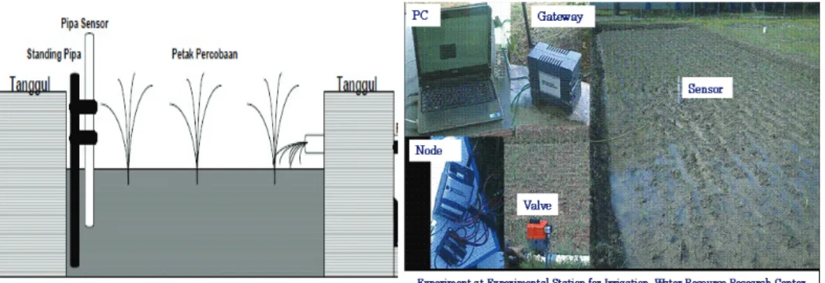 Gambar 5 menunjukkan skema sistem irigasi curah otomatis yang digunakan  dalam percobaan
