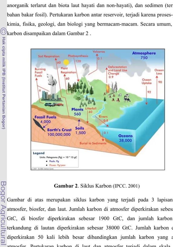 Gambar 2. Siklus Karbon  (IPCC. 2001)