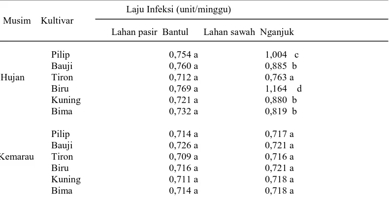 Tabel  5.   Laju  infeksi  penyakit  moler  6  kultivar bawang merah yang ditanam  di lahan pasir Bantul                  dan lahan sawah Nganjuk  pada  musim  hujan dan kemarau        