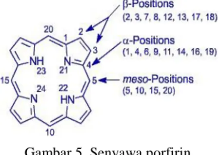 Gambar 5. Senyawa porfirin                      (Hecht et al 2006) 