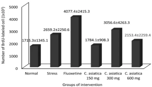 FIGURE 4.  Number of BrdU-labeled cell on the right hemisphere of PFC after chronic stress.