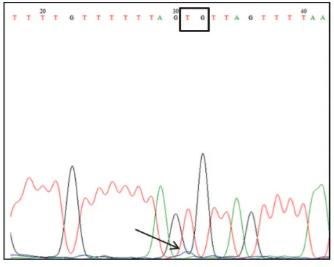 FIGURE 2.  Electrogram of target region of TLR4 gene promoter. Region target arround at -94 to +202 of the TSS that include 7 CpG 