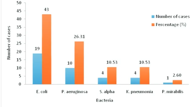 FIGURE 2. Distribution of acute appendicitis according to  age at operation.