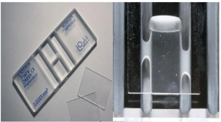 Gambar 3.2 Penggunaan Haemocytometer  (Sumber: Kim, 2010)   