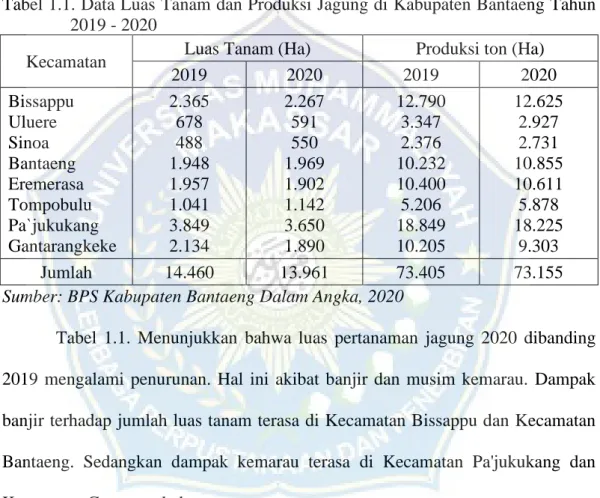 Tabel 1.1. Data Luas Tanam dan Produksi Jagung di Kabupaten Bantaeng Tahun  2019 - 2020 