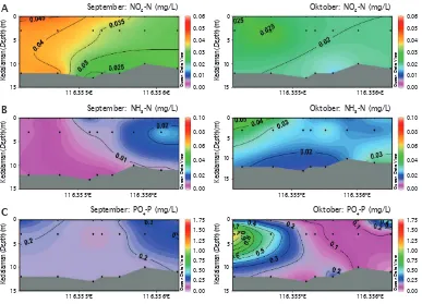 Gambar 4. Sebaran vertikal nitrit (A), amoniak (B), dan fosfat (C) bulan September-Oktober padastasiun pengamatan unit IMTA di Teluk Gerupuk, Lombok Tengah