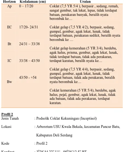 Tabel 6. Morfologi Profil 1 di Arboretum USU Kwala Bekala, kecamatan Pancur Batu,  Kabupaten Deli Serdang 